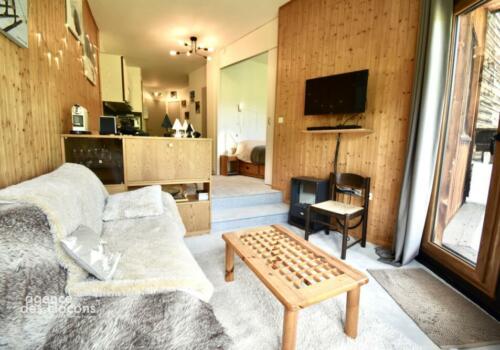 Large 1 bedroom apartment, Pas du lac (sales agreement in progress)